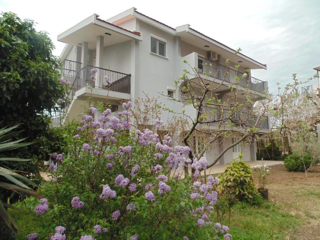 Apartments Macaso Bar Esterno foto